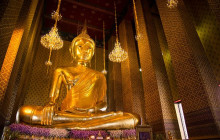 Discova Day Tours and Activities2