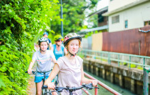 Discova Day Tours and Activities8