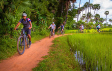 Discova Day Tours and Activities1