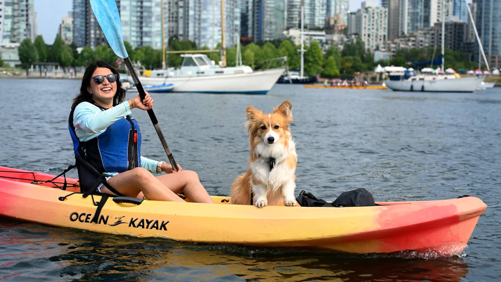 Kayak & Coffee Tour - Single Kayak