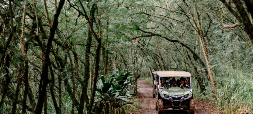 Keana Farms Zipline Tour: 8-Line Zipline Adventure on Oahu's North Shore