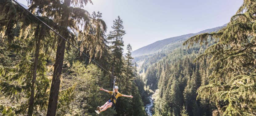 Bear Zipline Tour