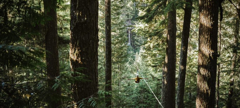 Bear Zipline Tour