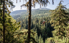 Ziptrek Whistler8
