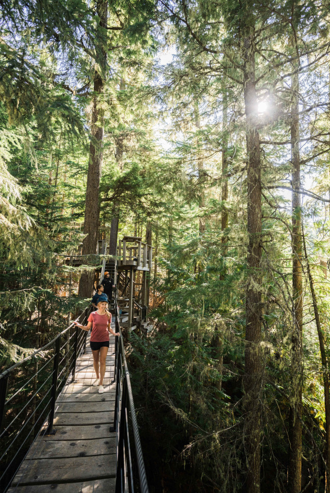 TreeTrek Canopy Tour