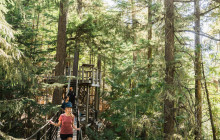 Ziptrek Whistler12
