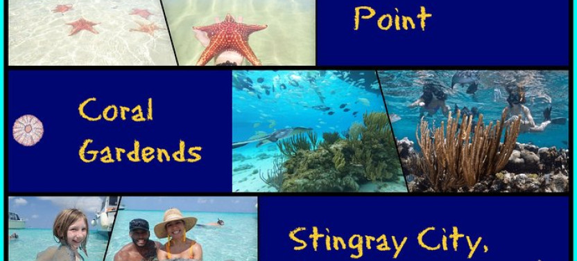 3 Stop Stingray City, Starfish Point + Coral Garden Tour