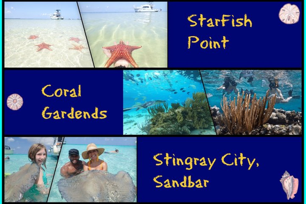 3 Stop Stingray City, Starfish Point + Coral Garden Tour