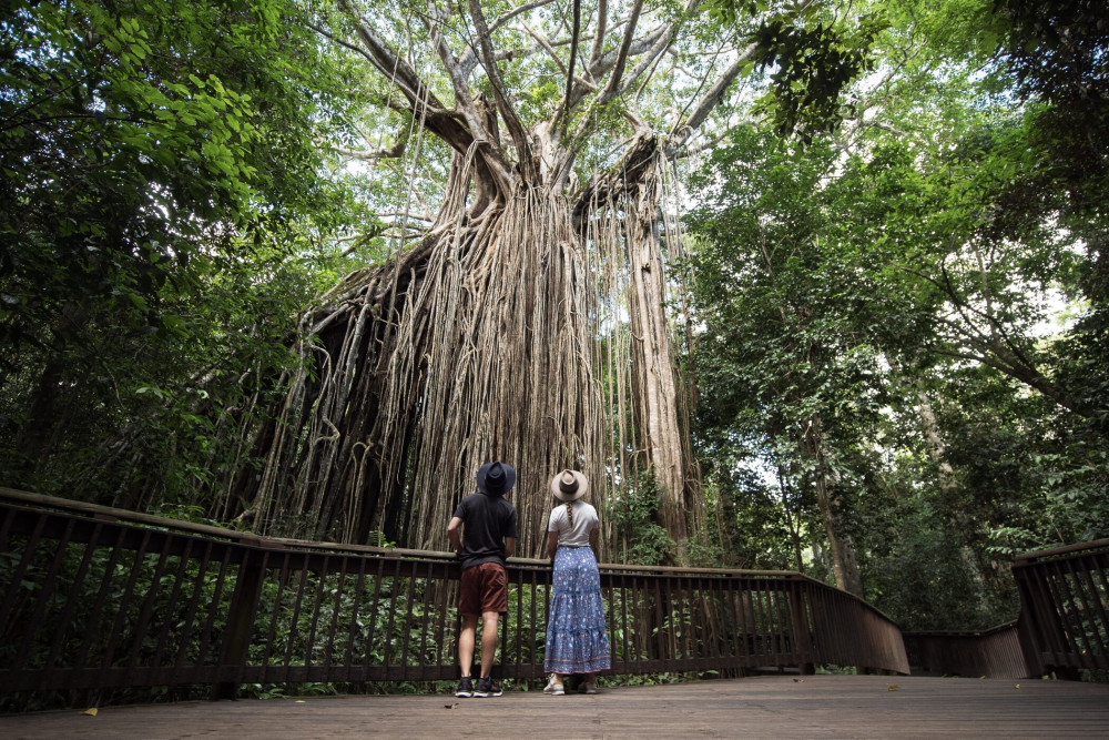 Autopia Tours (Victoria/New South Wales/Queensland)