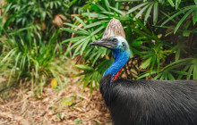 Autopia Tours (Victoria/New South Wales/Queensland)15