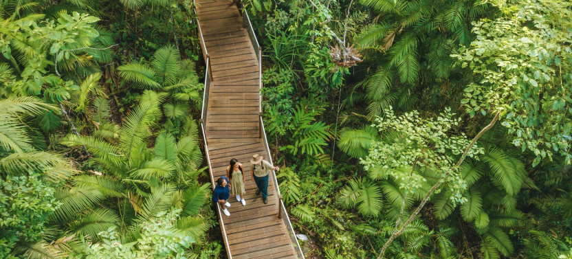 3 Day Cairns to Daintree Cape Tribulation & Port Douglas (Private Double)