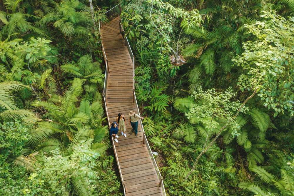 3 Day Cairns to Daintree Cape Tribulation & Port Douglas (Private Single)