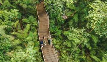 A picture of 3 Day Cairns to Daintree Cape Tribulation & Port Douglas (Private Single)