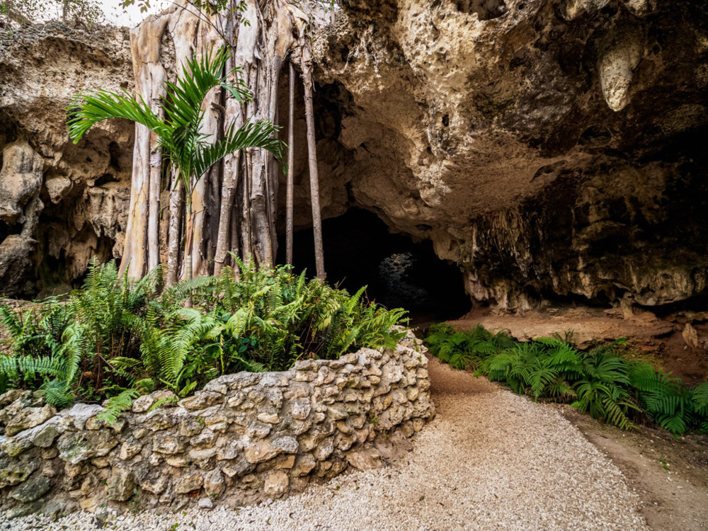 Cayman Crystal Caves Tour In Grand Cayman Island