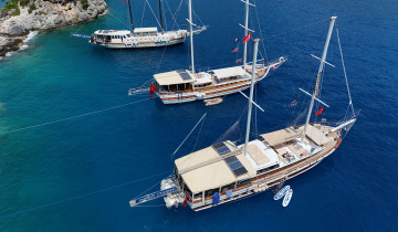 A picture of 12 Day Istanbul to Fethiye & Gulet Cruise