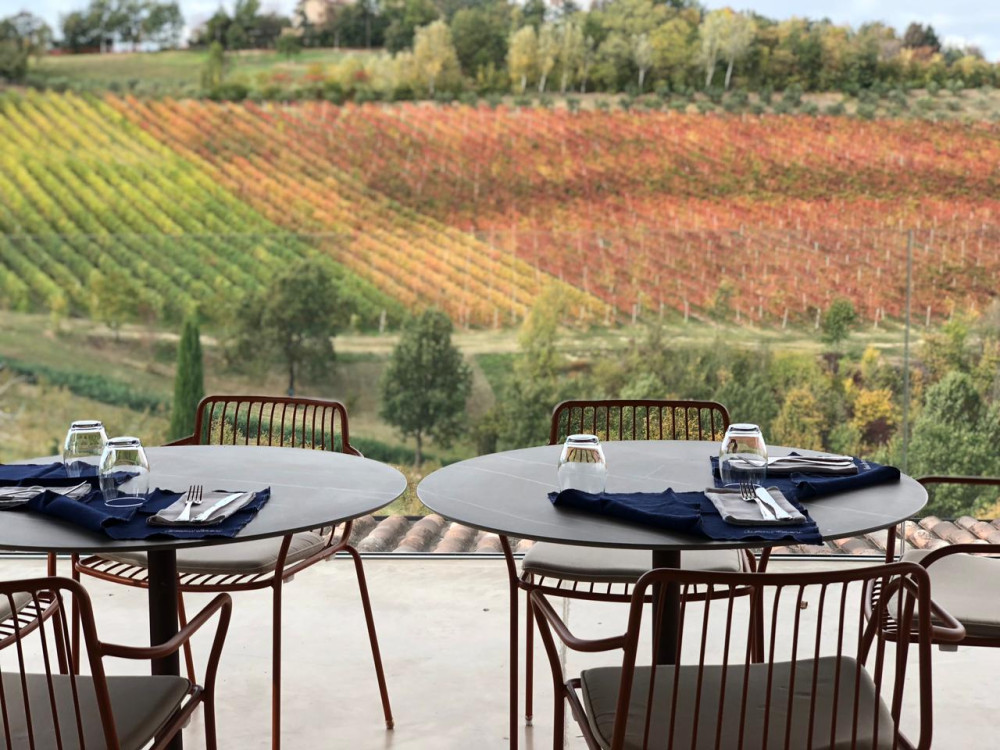 Exclusive Lambrusco Wine & Vineyard Experience from Florence