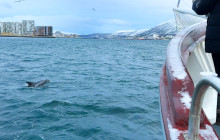World Sea Explorers7