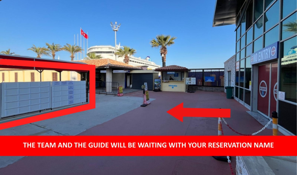 PRIVATE Tour for cruisers: EPHESUS, ARTEMIS TEMPLE (Skip-The-Line)