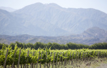 Say Hueque Argentina & Chile Journeys7