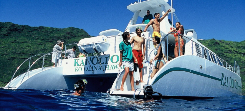 Afternoon Ocean Adventure: Wild Dolphins, Snorkeling & Island Flavors
