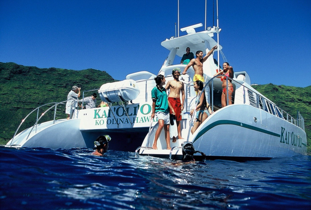 Premium Whale and Dolphin Watch Snorkel Cruise with Lunch and Drinks - PM
