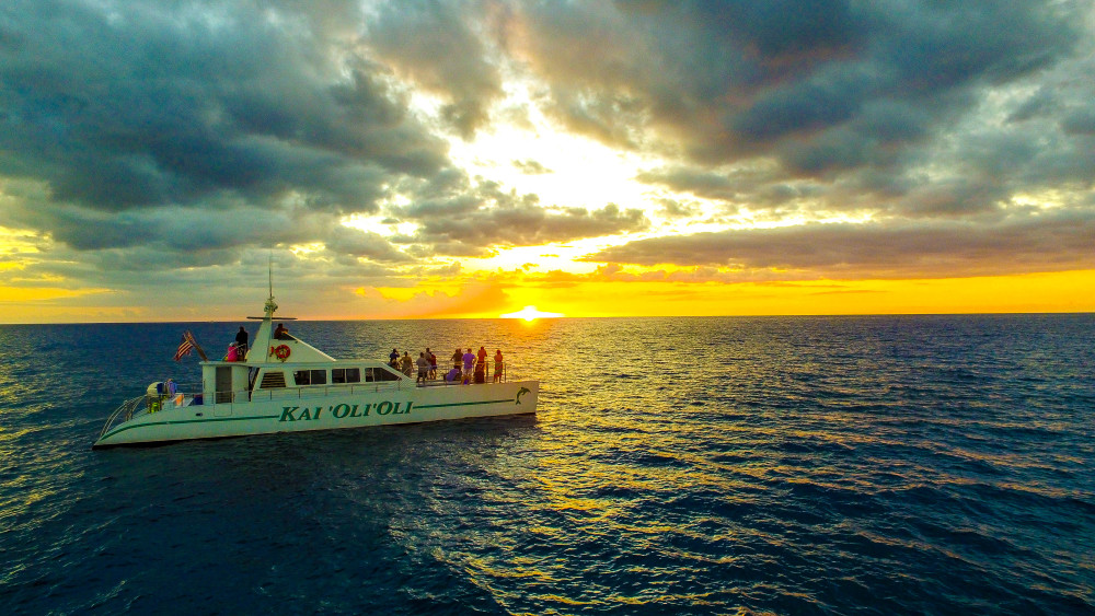 Luxury Sunset Whale & Dolphin Watch, Snorkel Cruise with Dinner and Drinks