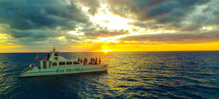 Luxurious Private Sunset Dolphin Watch & Snorkel Cruise w/ Dinner & Drinks