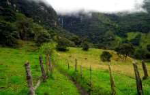 ALG Vacations Corp198