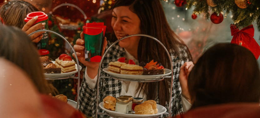 Christmas Lights Afternoon Tea Bus Tour - Premium Seating