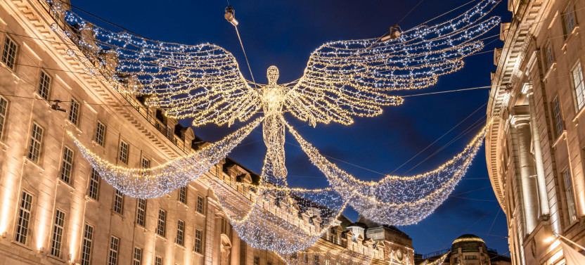 Christmas Lights Afternoon Tea Bus Tour - Premium Seating
