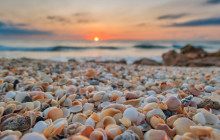 Florida Island Tours Co17