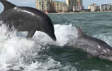 Florida Island Tours Co6