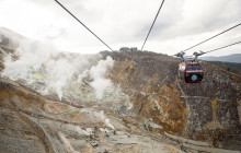 Tuyi Group Japan Co., Ltd.10