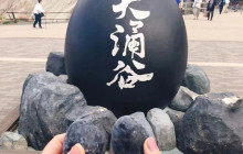 Tuyi Group Japan Co., Ltd.11