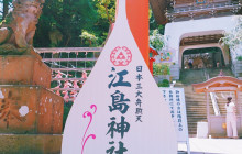 Tuyi Group Japan Co., Ltd.9