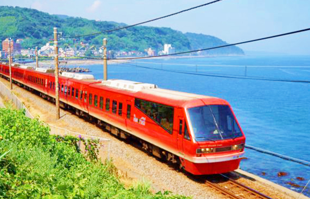Izu Omuro Mountain & Oceanview Train Tour from Tokyo