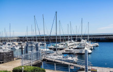 Tuyi Group Japan Co., Ltd.7