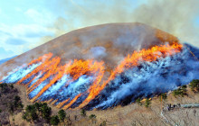 Tuyi Group Japan Co., Ltd.10