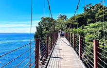 Tuyi Group Japan Co., Ltd.12