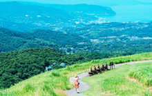 Tuyi Group Japan Co., Ltd.7