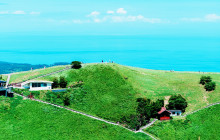 Tuyi Group Japan Co., Ltd.8