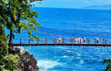 Tuyi Group Japan Co., Ltd.9