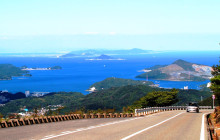 Tuyi Group Japan Co., Ltd.11