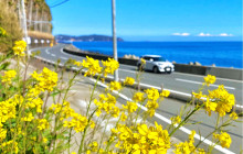 Tuyi Group Japan Co., Ltd.12