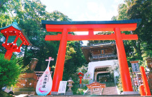 Tuyi Group Japan Co., Ltd.6