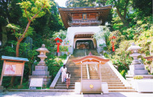 Tuyi Group Japan Co., Ltd.7