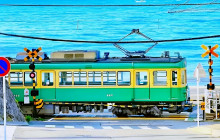 Tuyi Group Japan Co., Ltd.9