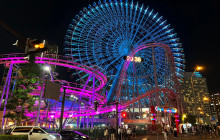 Tuyi Group Japan Co., Ltd.12