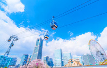 Tuyi Group Japan Co., Ltd.13