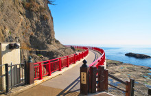 Tuyi Group Japan Co., Ltd.14